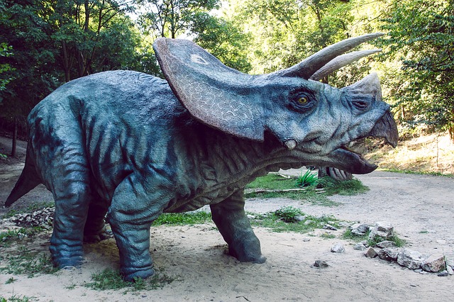 dinosaurus triceraptos
