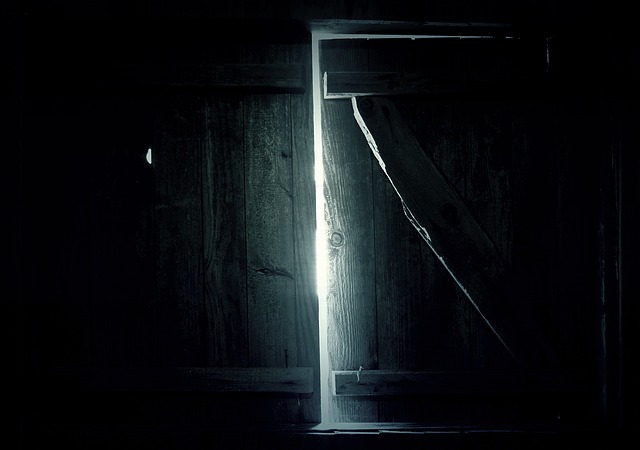 staré dřevěné dveře.jpg